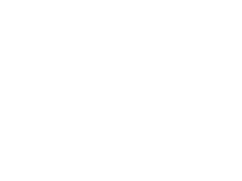 Logo-weiss_Transparent.png