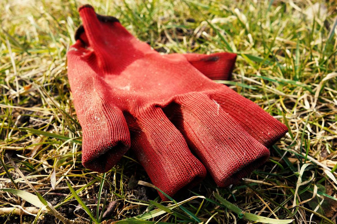 work-glove-3208814_1280.jpg